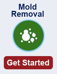 mold remediation in Indianapolis TN