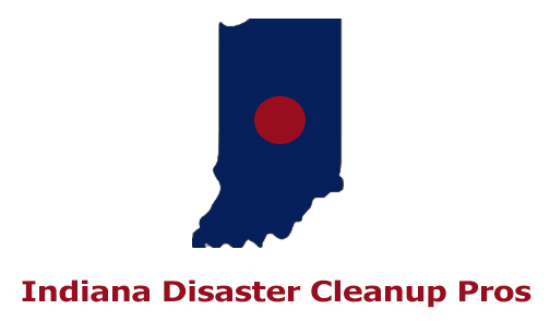 Disaster Cleanup Pros